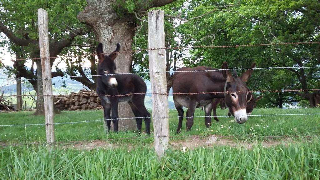 Casa Rural Urkulu Landetxea Aretxabaleta Kültér fotó