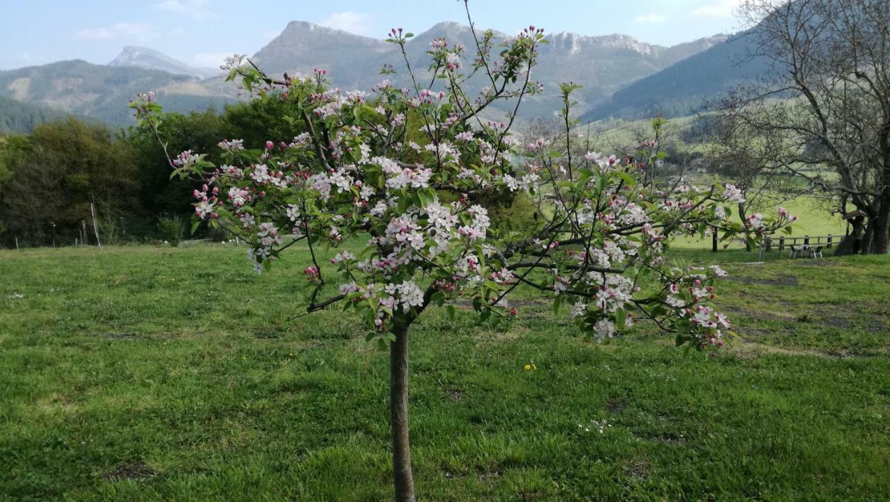 Casa Rural Urkulu Landetxea Aretxabaleta Kültér fotó